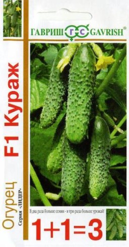 Огурец Кураж F1 1+1 (Гавриш) Огурец Кураж F1 1+1 (Гавриш)