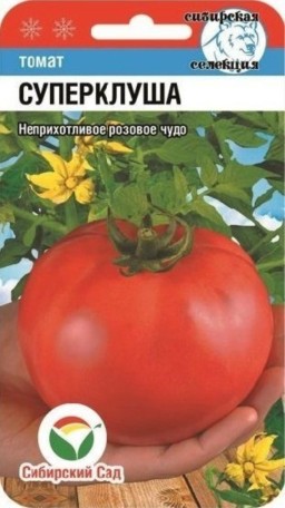 Томат Супер-Клуша (Сиб сад) Томат Супер-Клуша (Сиб сад)