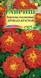 Бархатцы отклоненные Брокада красная  (Гавриш)