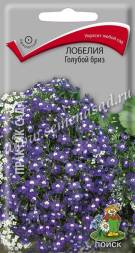 Лобелия Голубой бриз (Поиск)